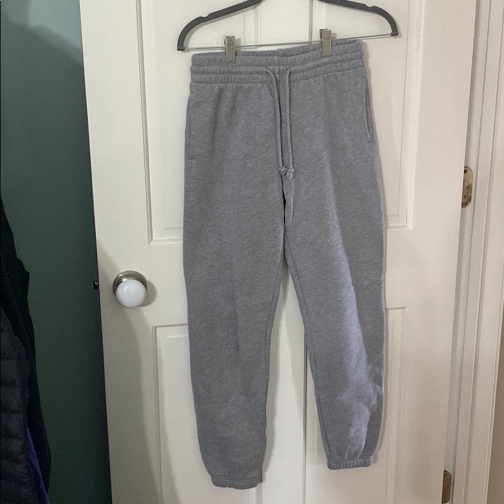Tna Aritzia sweatpants